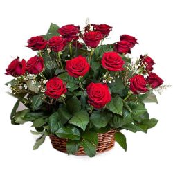 Фото товара 21 червона троянда в кошику в Калуші