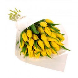 Фото товара 25 жовтих тюльпанів в Калуші