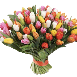 Фото товара 101 різнокольоровий тюльпан в Калуші