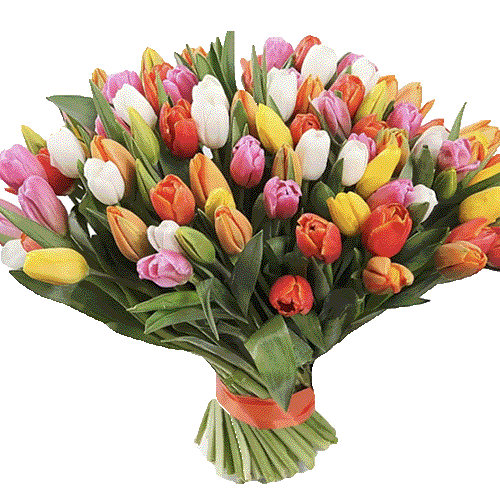 Фото товара 101 різнокольоровий тюльпан в Калуші