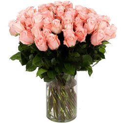 Фото товара Троянда імпортна рожева (поштучно) в Калуші