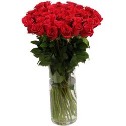 Фото товара Троянда імпортна червона (поштучно) в Калуші