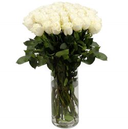 Фото товара Троянда імпортна біла (поштучно) в Калуші
