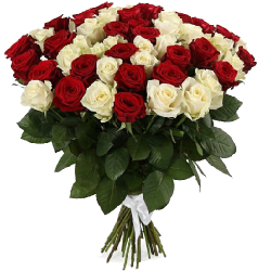Фото товара 51 червона та біла троянда в Калуші