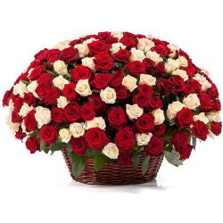 Фото товара 101 троянда мікс в кошику в Калуші