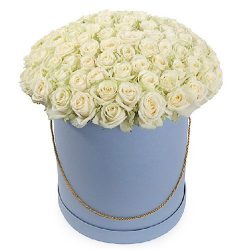 Фото товара 101 троянда біла в капелюшній коробці в Калуші