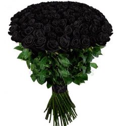 Фото товара 101 чорна троянда (фарбована) в Калуші