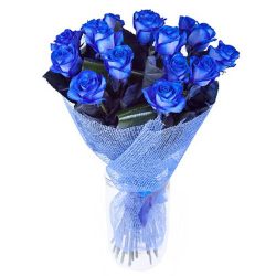 Фото товара 17 блакитних троянд (фарбованих) в Калуші