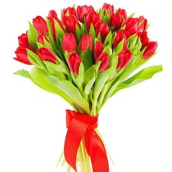 Фото товара 25 червоних тюльпанів в Калуші