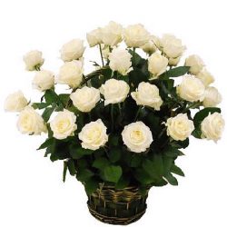 Фото товара 35 білих троянд у кошику в Калуші