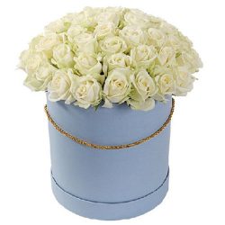 Фото товара 51 троянда біла в капелюшній коробці в Калуші