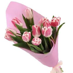 Фото товара 11 рожевих тюльпанів в Калуші