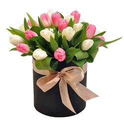 Фото товара 25 тюльпанів у коробці в Калуші
