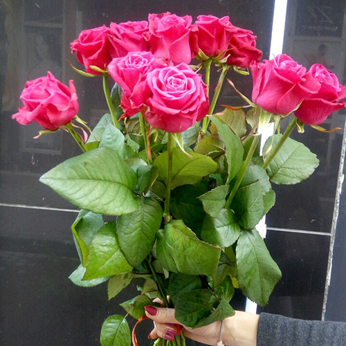 фото букета рожеві троянди