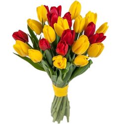 Фото товара 15 червоно-жовтих тюльпанів (зі стрічкою) в Калуші