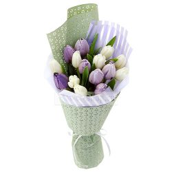 Фото товара 15 біло-фіолетових тюльпанів в Калуші
