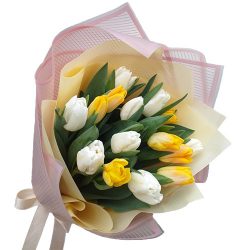 Фото товара 15 біло-жовтих тюльпанів в Калуші