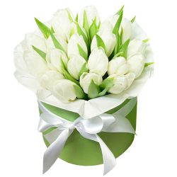 Фото товара 21 білий тюльпан у коробці в Калуші
