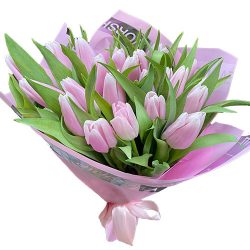 Фото товара 21 ніжно-рожевий тюльпан в Калуші