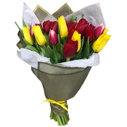 Фото товара 21 червоно-жовтий тюльпан у подвійній упаковці в Калуші