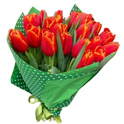 Фото товара 21 тюльпан "Маковий цвіт" в Калуші