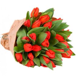 Фото товара 35 червоних тюльпанів у "газеті" в Калуші