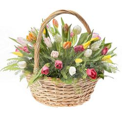 Фото товара 45 тюльпанів асорті в кошику з декором в Калуші