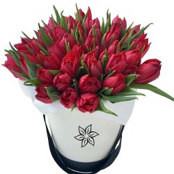 Фото товара 45 червоних тюльпанів у коробці в Калуші