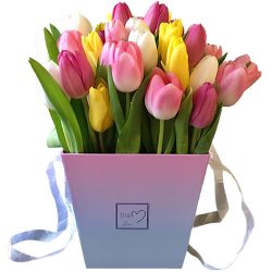 Фото товара 31 тюльпан "Весняний вітер" у квадратній коробці в Калуші