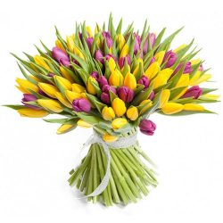 Фото товара 75 фіолетово-жовтих тюльпанів в Калуші