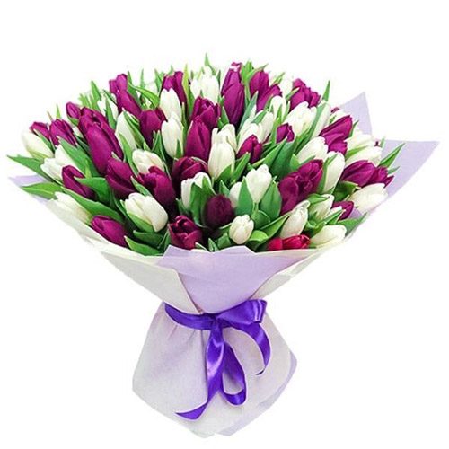Фото товара 75 пурпурно-білих тюльпанів в Калуші