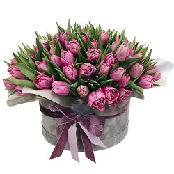 Фото товара 101 пурпурний тюльпан у коробці в Калуші