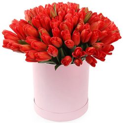 Фото товара 101 червоний тюльпан у коробці в Калуші