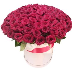 Фото товара 101 троянда червона в капелюшній коробці в Калуші