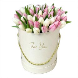 Фото товара 51 біло-рожевий тюльпан у коробці в Калуші