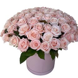 Фото товара 101 рожева троянда в коробці в Калуші