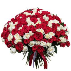 Фото товара 201 червона і біла троянда в Калуші