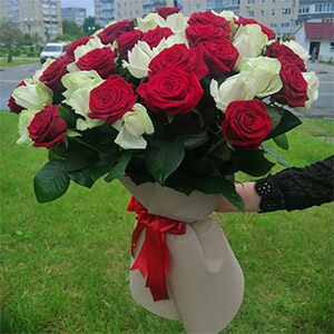 квіти та подарунки на 8 Березня в категорії 51 Троянда | «Калуш Роза»