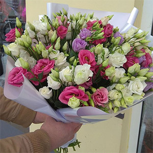 квіти та подарунки на 8 Березня в категорії Середня ціна | «Калуш Роза»