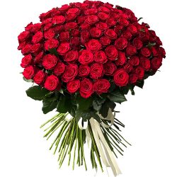 Фото товара 101 троянда червона в Калуші