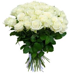 Фото товара 51 троянда біла в Калуші