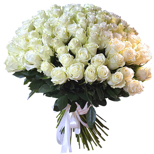 фото товара 101 біла імпортна троянда | «Калуш Роза»