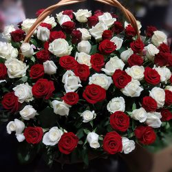 Фото товара Кошик червоних і білих троянд в Калуші