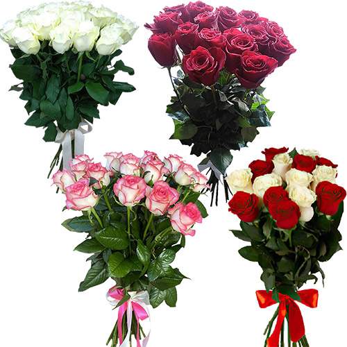Товар "15 троянд (40см) в Калуші Фото товара 15 троянд (40см) в Калуші
